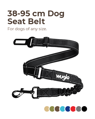 dog seat belt