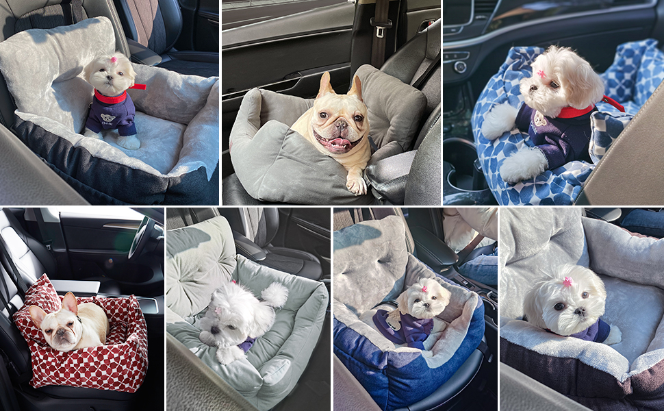 More Colors and Appearances of Small Dog Car Seat Are Available