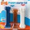 Nylabone Puppy Starter Kit, Pack of 3 Dental Dog Chew Bones, Teething, Gentle, Graduate, Small, for Puppies Up to 11 kg