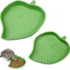 2 Pieces Leaf Reptile Food Water Bowl Plate Dish for Tortoise Corn Snake Crawl Pet Drinking and Eating, 2 Sizes