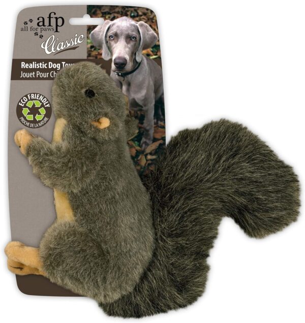 ALL FOR PAWS Pet Squirrel Plush Dog Toys With Squeaker, Small Size (Squirrel)