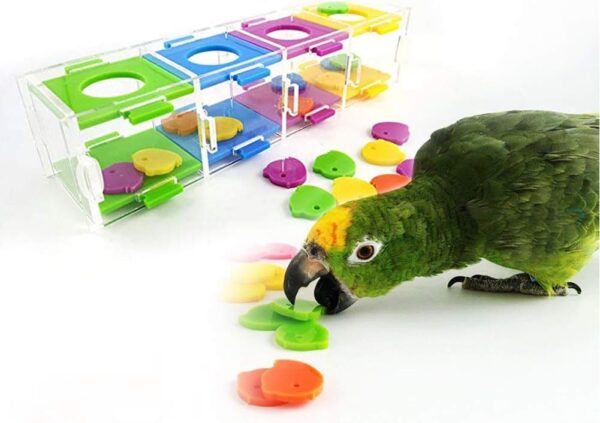 Bird Toys, Colorful Parrot Intelligence Toys Interesting Birds Training Interactive Playing Puzzle Toy for Parrots, Birds, Parakeet, Cockatiel and Other Small Pets