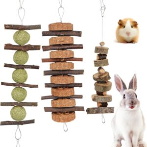 Hioph Guinea Pig Toys, 3Pcs Rabbit Chew Apple Sticks Strings, Wooden Pet Rabbit Treats, Hamster Boredom Breaker Chew Toys for Bunny, Chinchilla, Rat, Gerbil and Small Animal