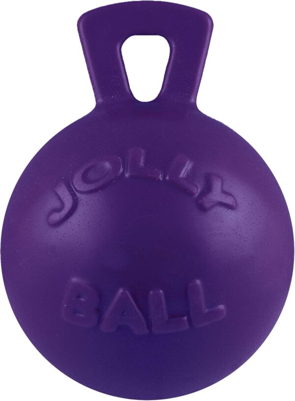 Jolly Pets Tug-n-Toss Heavy Duty Dog Toy Ball with Handle, 4.5 Inches/Small, Purple