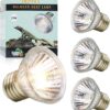 LUCKY HERP Reptile Heat Lamp Bulb 25W 4Pack, UVA UVB Basking Lamp Bulb for Tortoise, E27 Halogen Heat Light for Turtle, Lizard, Bearded Dragon