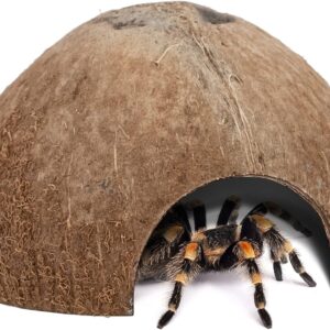 Niteangel 2 Pack Natural Coconut Reptile Hideouts, Lizard, Spider and Aquarium Fish Hide Cave (Natural Surface)