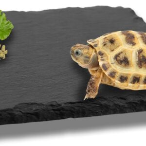 Reptile Basking Slate Platform Aquarium Tortoise Bathing Resting Platform,10x10cm Turtle Habitat Slate Pad Turtle Feeding Food Bowl Dish Resting Natural Rock Platform Accessories Decoration(Black)