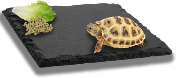 Reptile Basking Slate Platform Aquarium Tortoise Bathing Resting Platform,10x10cm Turtle Habitat Slate Pad Turtle Feeding Food Bowl Dish Resting Natural Rock Platform Accessories Decoration(Black)