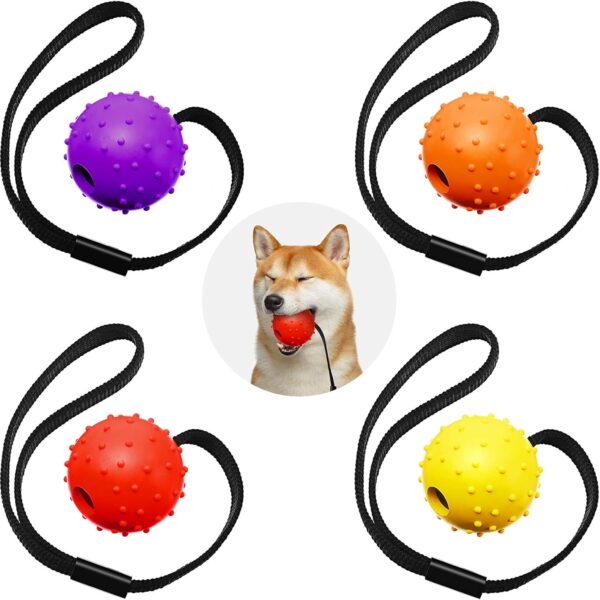 SKYLETY 4 Pieces Dog Ball on a Rope Training Ball Dog Toy Interactive Dog Ball on a String Reward and Exercise Toy for Small Medium Large Dog Fetching, Catching, Throwing and Tugging (5 x 30 cm)