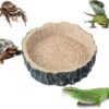 Saim Small Crawler Pet Feeding Round bowl Food Water Non-toxic Resin Dish Suitable for Reptile Turtle Tortoise Scorpion Lizard Crabs Pets Supplies