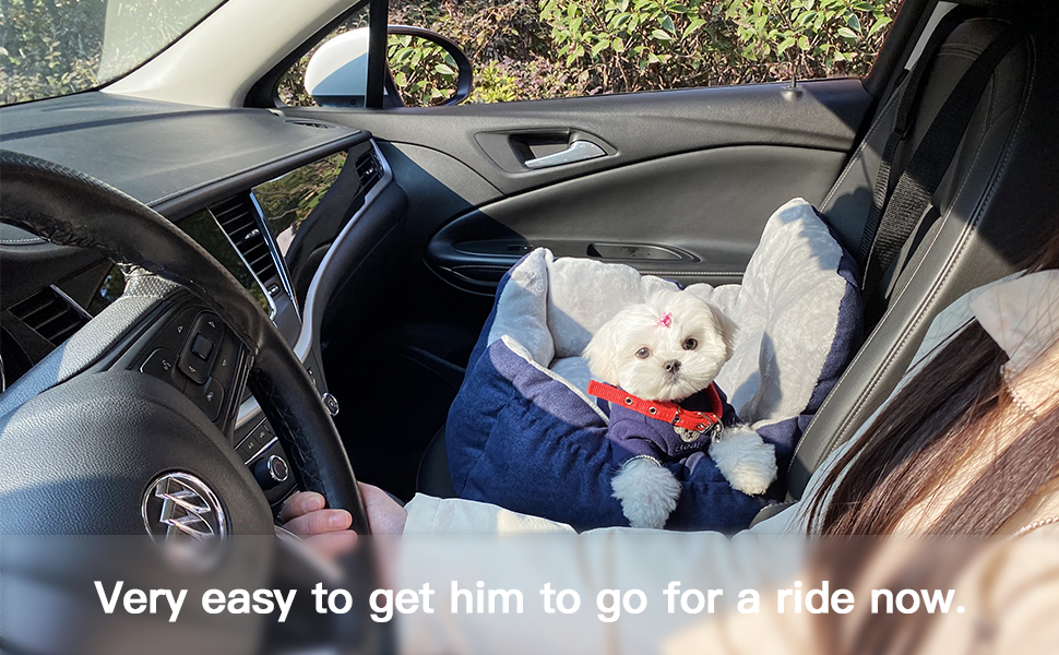 very easy to get him to go for a ride now