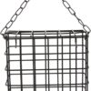 Wild Bird Feeder Bird Food Container For Parakeets Budgies Cockatiel Hanging Suet Basket Feeding Tool Supplies