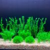 BEGONDIS 18 Pcs Artificial Green Water Plants, Fish Tank Aquarium Decorations, Made of Soft Plastic