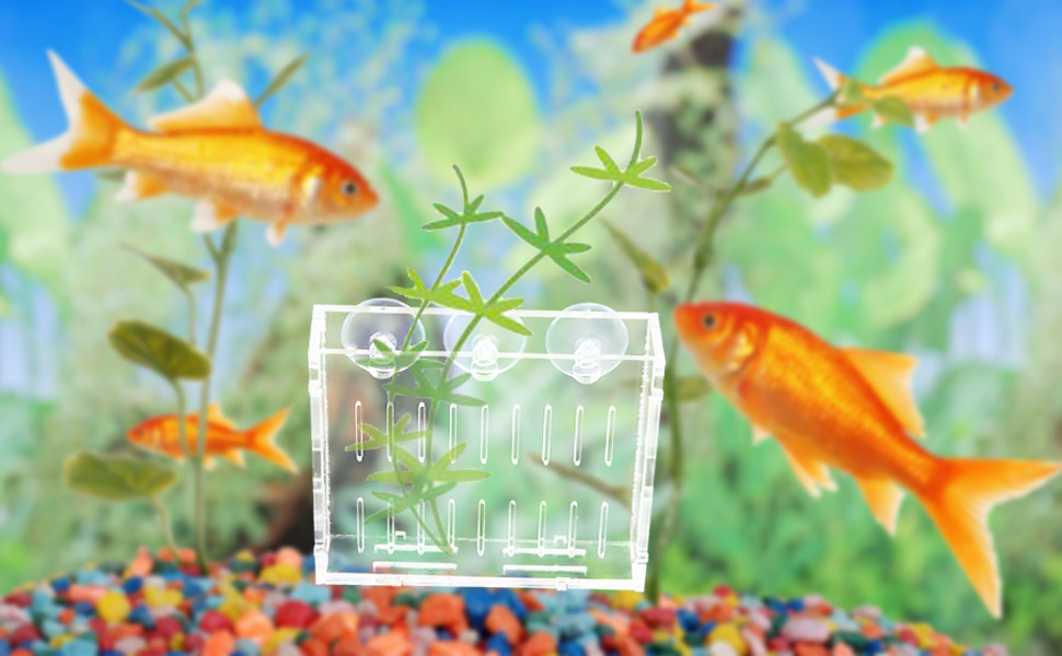 Fish Tank Water Plants Planter 