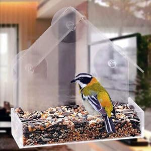 Transparent bird feeder