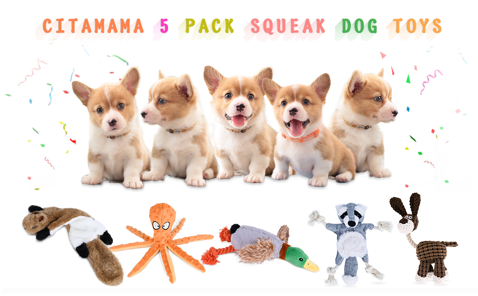 squeak toys for dogs