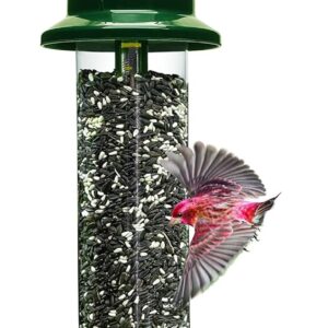 Jacobi Jayne 1024-V01 Feeder Buster Plus-Marauders Off Guaranteed Squirrel and Large Bird Proof/Metal, Green