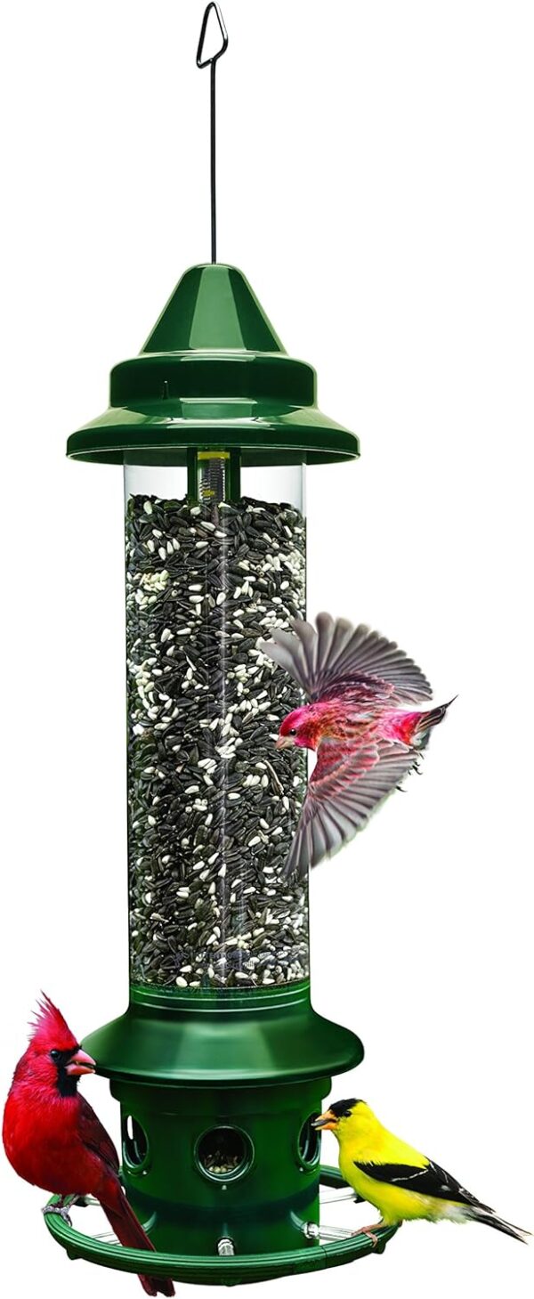 Jacobi Jayne 1024-V01 Feeder Buster Plus-Marauders Off Guaranteed Squirrel and Large Bird Proof/Metal, Green