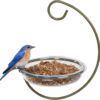 Mealworm and Robin bird feeder - Jacobi Jayne® Easy-Clean Hanging Treat Dish - Ideal for Bird Seed, Mealworms & table scraps - Hanging bird feeder for wild bird food (Hanging Treat Dish)