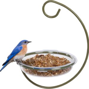 Mealworm and Robin bird feeder - Jacobi Jayne® Easy-Clean Hanging Treat Dish - Ideal for Bird Seed, Mealworms & table scraps - Hanging bird feeder for wild bird food (Hanging Treat Dish)