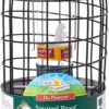 Walter Harrison's Bird Feeder Wild Bird Feed Protector Squirrel Proof Hanging Seed Feeder for Garden - 20 cm