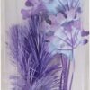 biOrb Seaweed Set S purple,Small