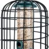 iBorn Squirrel Proof Bird Feeder with Squirrel, Pestoff Hanging Wild Bird Seed Feeder for Mix Seed Blends, Sunflower Heart, Birdbath, Heavy Duty All Metal Anti-UV Finishing, Green 8 Inch
