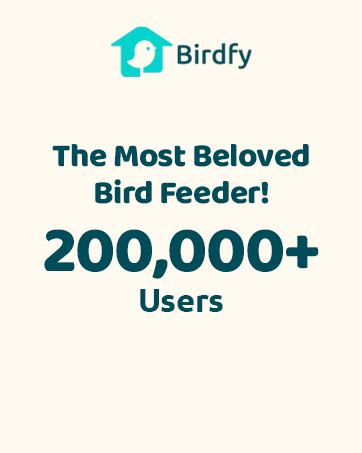 Birdfy Smart Bird Feeders