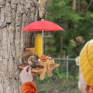 A man interacts with a squirrel in front of a squirrel feeder