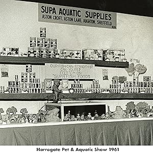 Harrogate Pet &amp;amp;amp;amp;amp;amp;amp;amp;amp;amp;amp; Aquatic Show 1961