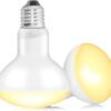 2 Pack 100W Reptile Heat Lamp Bulb E27 Tortoise Basking Light Bulb Dimmable UVA+UVB Daylight Heating Bulb for Vivarium/Lizards/Bearded Dragon/Snakes/Puppies/Chicks/Amphibian