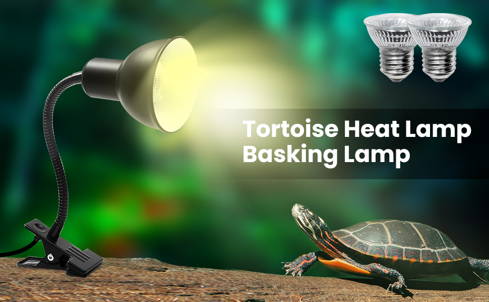 reptile heat lamp