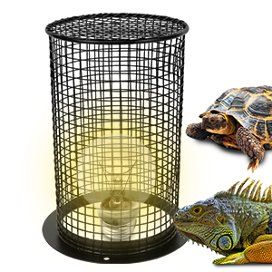 reptile heating light