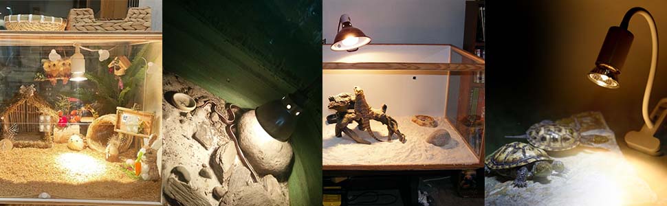 Reptile Heat Lamp