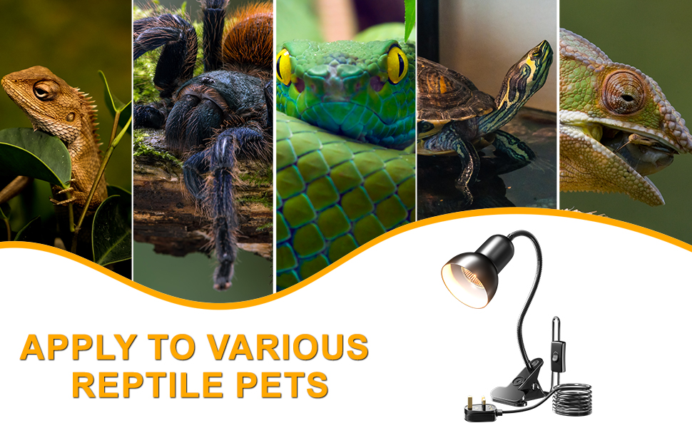 Widely USED to Various Reptile Pets