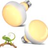 TobeBright 75W Intense Reptile Heat Lamp Bulb,E27 Dimmable Basking Bulb,UVA Heat Bulb for Reptile, Reptile Heat Lamp for Tortoise, Bearded Dragon, Lizard, Chicks and Puppies 2Pack