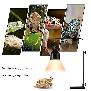 tortoise vivarium reptile tank light fixture gecko tank stand lamp