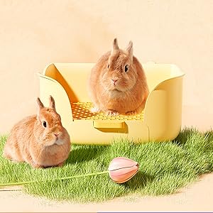 rabbit litter tray