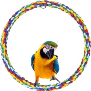 Andiker Bird Swing, Cage Hanging Toys Cotton Rope Swing Bite Resistance Perches Toy Parrot Toy Boredom Breaker for Budgie, Cockatiels, Conures, Finches, Small Parakeets (L 25cm)