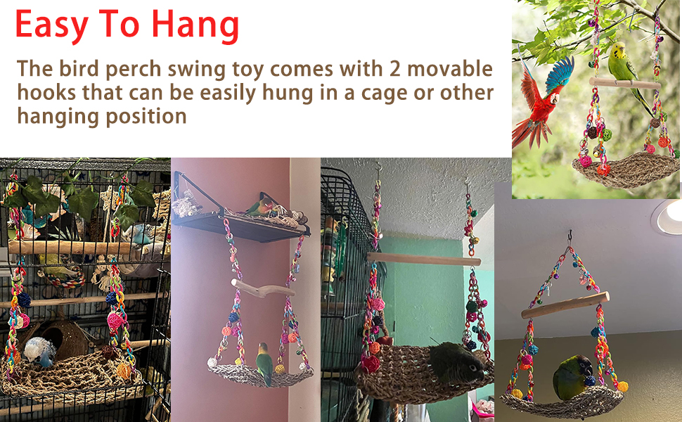 bird swing