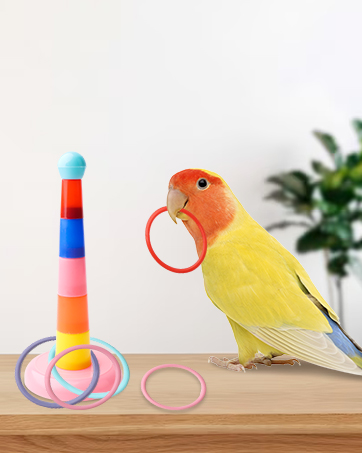 Bird Parrots Toys Parakeet Toys Interactive Bird Training Toy Set with Parakeet Parrot Swing