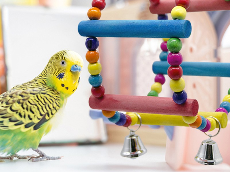 Budgie Toys and Accessories 2 Packs Bird Toys for Caged Birds