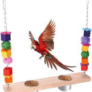 QIODAZOO Bird Swing Feeder, Double Bird Bowls Hanging Swing Chew Bird Ball Toy for Parrots, Budgie, Cockatiels, Conures, Finches, Small Parakeets