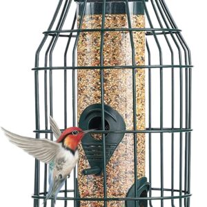 Bird Feeder,Squirrel Proof Bird Feeder,Heavy Duty Squirrel Resistant Bird Nut Feeder,Hanging Wild Bird Seed Feeder for Outdoor Caged Tube Garden Backyard