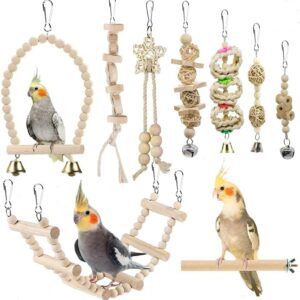 Bird Toys Parakeet Toys Bird Cage Accessories Parrot Swing Chewing Standing Hanging Perch Hammock Climbing Ladder for Budgerigar,Parakeet,Conure,Cockatiel,Mynah,Love Birds,Finches