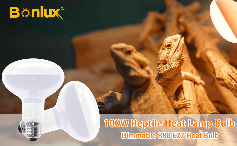 100W reptile heat bulb