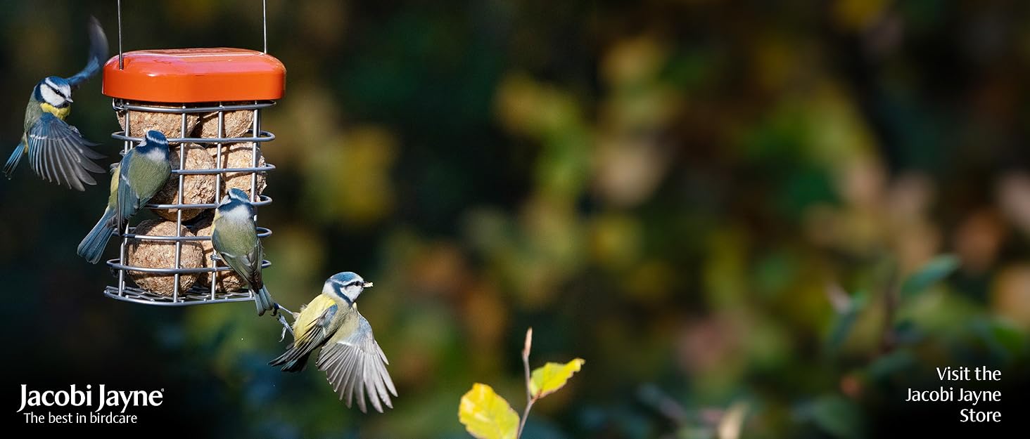 Birdfeeder