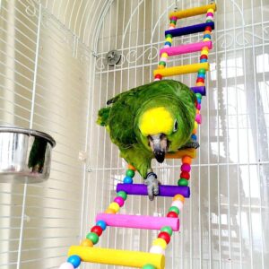 Large Bird Parrot Toys Ladders Swing Chewing Toys Hanging Pet Bird Cage Accessories Hammock Swing Toy for Small Parakeets Cockatiels, 18 Ladders, 48 inch