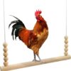 MEISH Chicken Swing Wooden Toys Chicken Hanging Swings Toys Climbing Stand Ladder Safe Wooden Ladder for Hens Bird Parrot