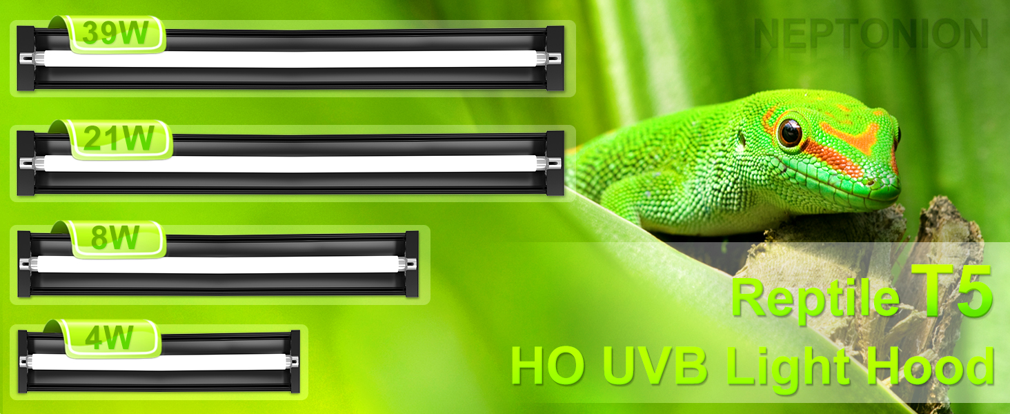 T5 HO UVB Reptile Light Hood